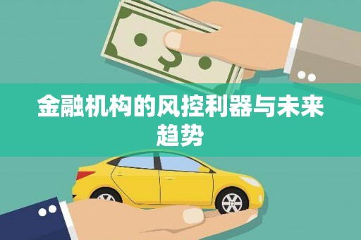 邕宁金融机构的风控利器与未来趋势