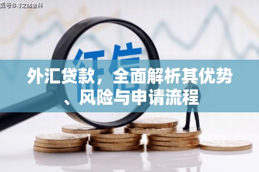 邕宁外汇贷款，全面解析其优势、风险与申请流程