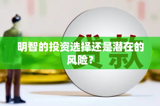 邕宁明智的投资选择还是潜在的风险？