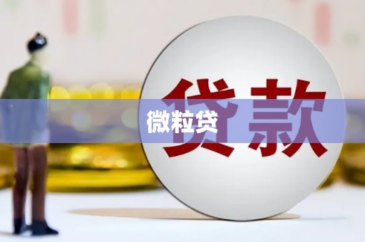 邕宁微粒贷
