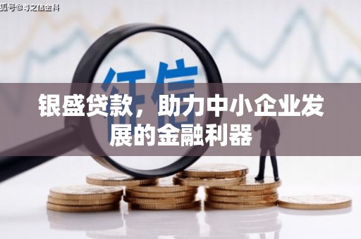 邕宁银盛贷款，助力中小企业发展的金融利器