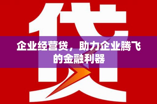 邕宁企业经营贷，助力企业腾飞的金融利器