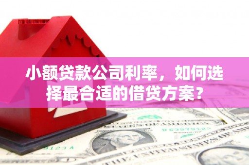 邕宁小额贷款公司利率，如何选择最合适的借贷方案？
