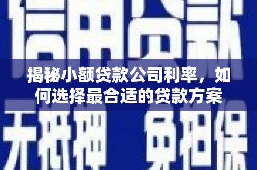 邕宁揭秘小额贷款公司利率，如何选择最合适的贷款方案