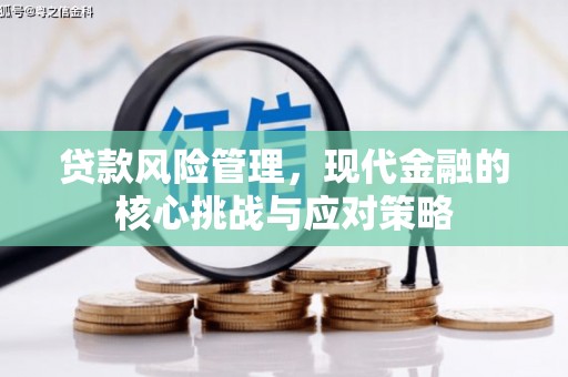 邕宁贷款风险管理，现代金融的核心挑战与应对策略