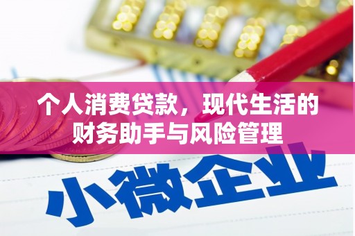 邕宁个人消费贷款，现代生活的财务助手与风险管理