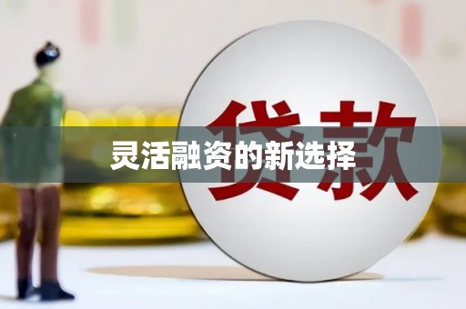 邕宁灵活融资的新选择